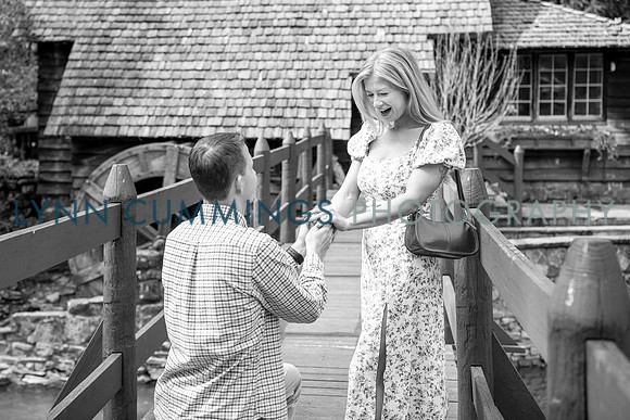 002-Lynn-Cummings-Photography