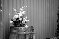017-Lynn-Cummings-Photo-Oak-Hill-Farm