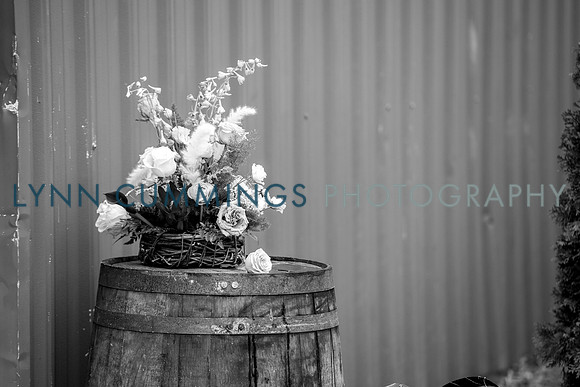 017-Lynn-Cummings-Photo-Oak-Hill-Farm