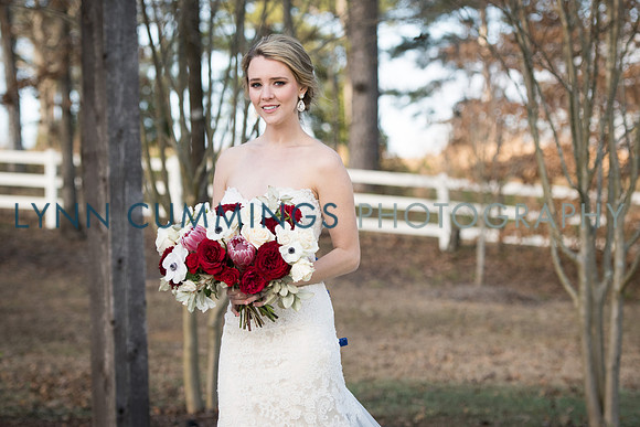 Lynn-Cummings-Photography-252