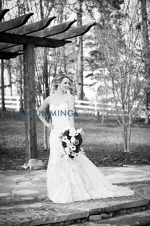Lynn-Cummings-Photography-247