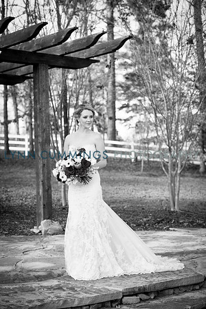 Lynn-Cummings-Photography-249
