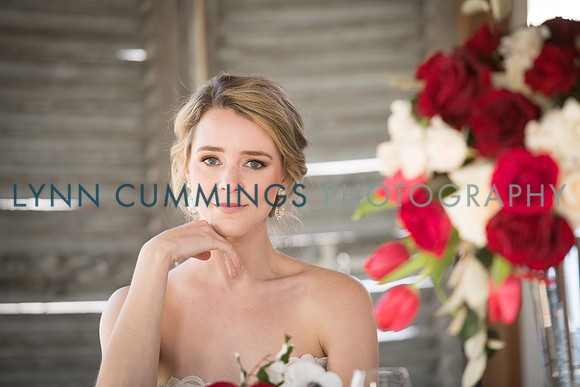 Lynn-Cummings-Photography-216