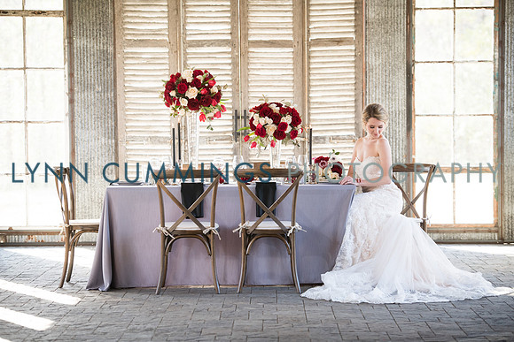 Lynn-Cummings-Photography-162