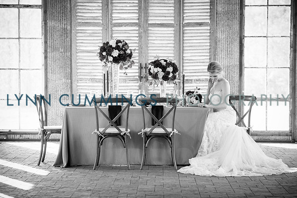 Lynn-Cummings-Photography-163