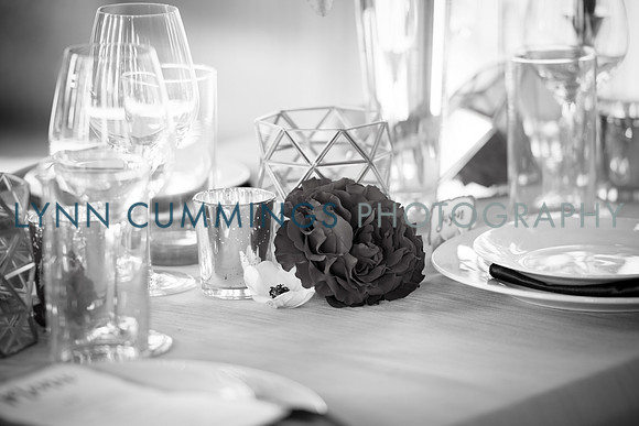 Lynn-Cummings-Photography-155