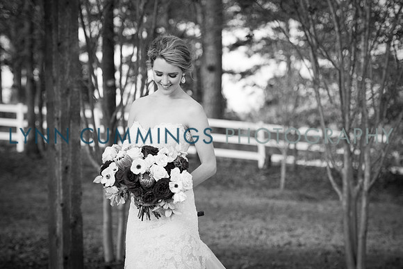 Lynn-Cummings-Photography-269