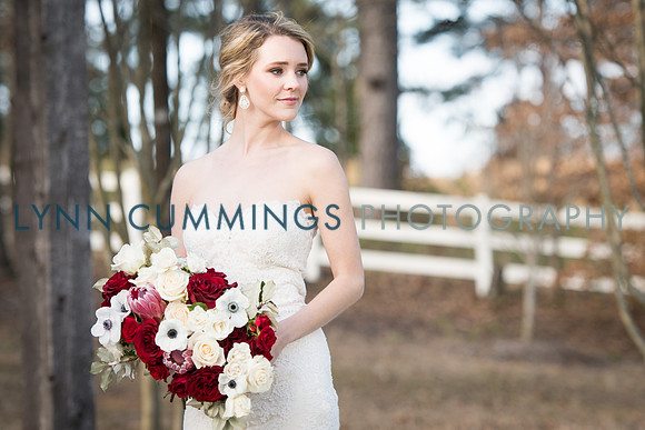 Lynn-Cummings-Photography-264