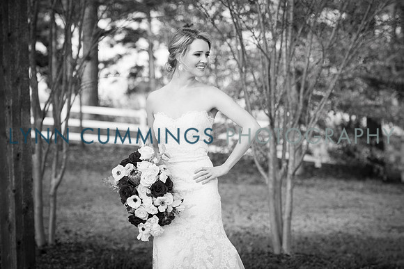 Lynn-Cummings-Photography-289