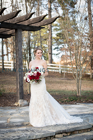 Lynn-Cummings-Photography-250