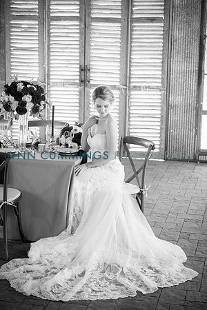 Lynn-Cummings-Photography-187