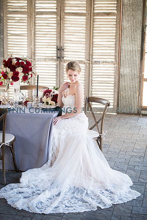 Lynn-Cummings-Photography-188