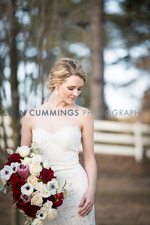 Lynn-Cummings-Photography-274