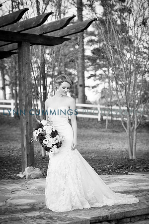 Lynn-Cummings-Photography-259