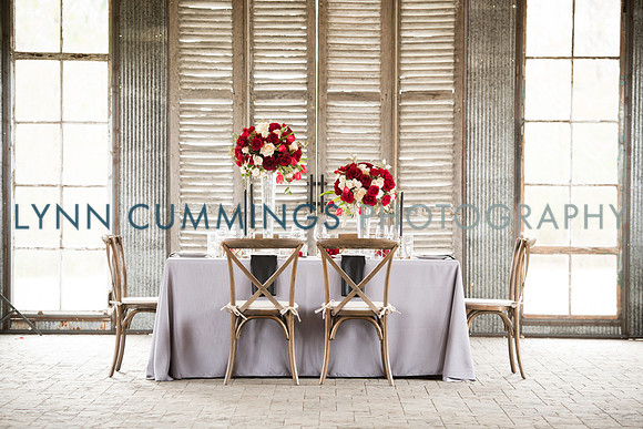Lynn-Cummings-Photography-138