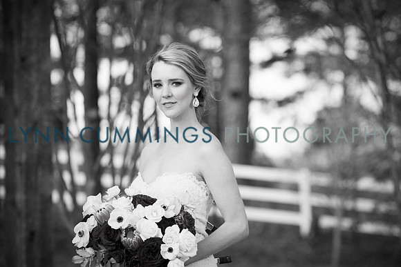 Lynn-Cummings-Photography-271