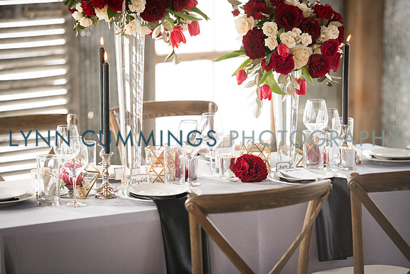 Lynn-Cummings-Photography-146
