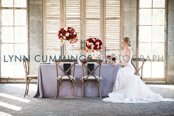 Lynn-Cummings-Photography-174
