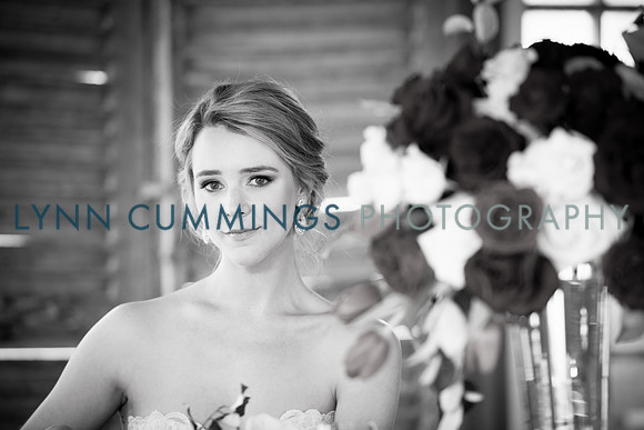 Lynn-Cummings-Photography-219