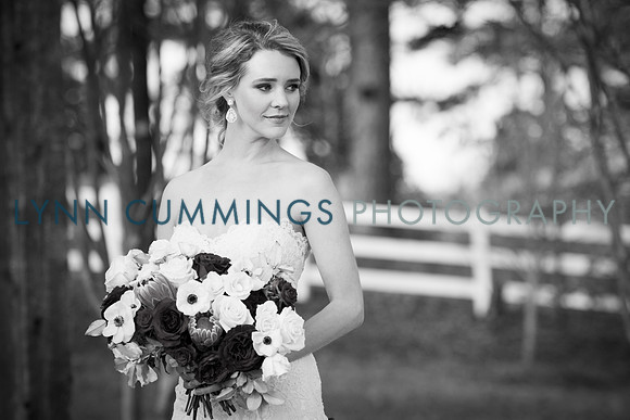 Lynn-Cummings-Photography-265