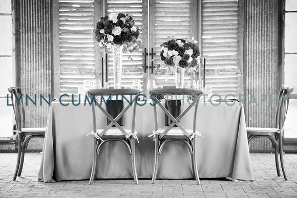 Lynn-Cummings-Photography-135