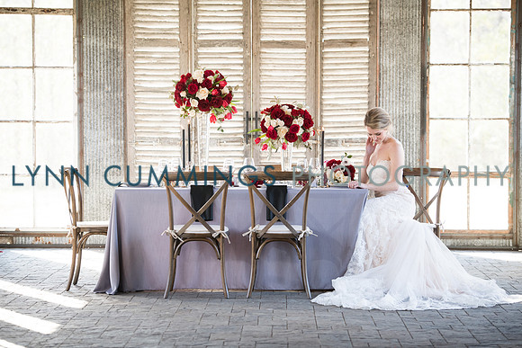 Lynn-Cummings-Photography-164