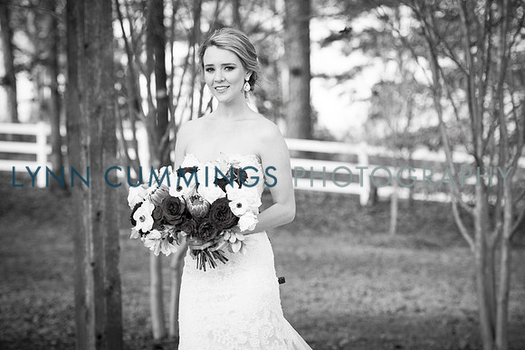 Lynn-Cummings-Photography-251