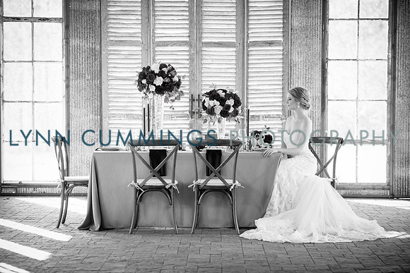Lynn-Cummings-Photography-173