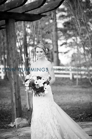Lynn-Cummings-Photography-253