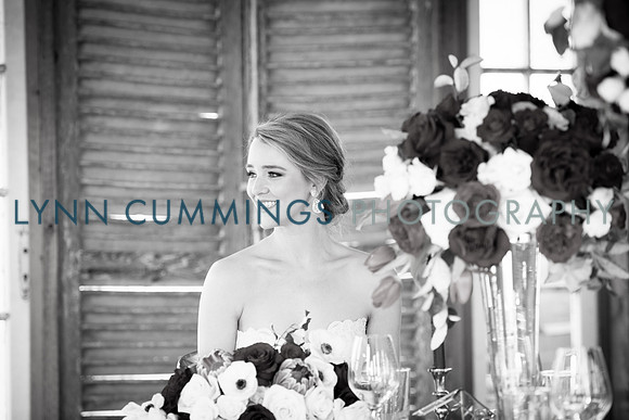 Lynn-Cummings-Photography-221