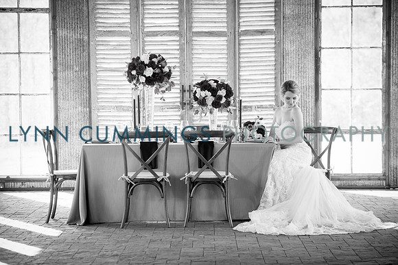 Lynn-Cummings-Photography-161