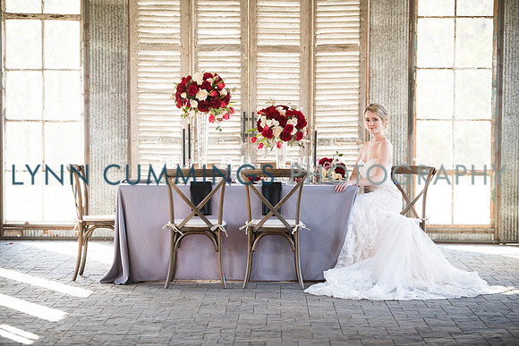 Lynn-Cummings-Photography-170