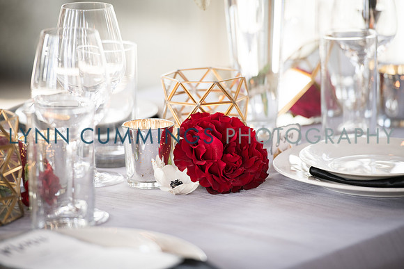 Lynn-Cummings-Photography-156