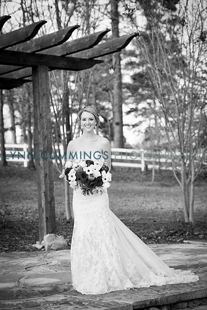 Lynn-Cummings-Photography-255