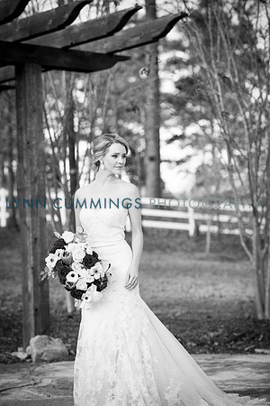 Lynn-Cummings-Photography-261