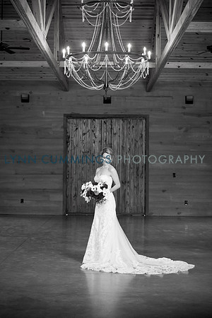 Lynn-Cummings-Photography-113