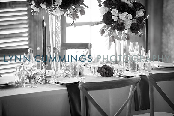 Lynn-Cummings-Photography-145