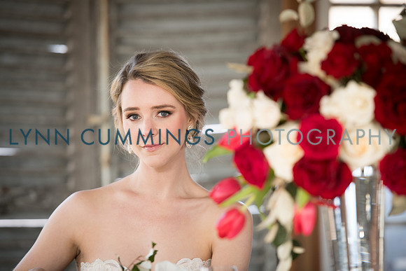 Lynn-Cummings-Photography-220