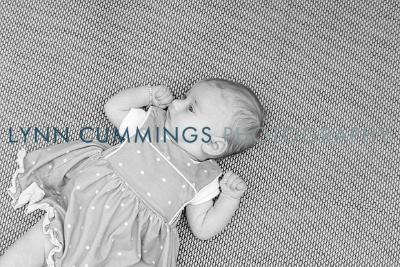 167-Lynn-Cummings-photography