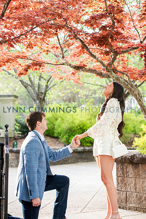 018-Lynn-Cummings-Photo