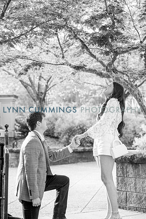 017-Lynn-Cummings-Photo