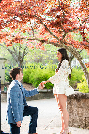 016-Lynn-Cummings-Photo