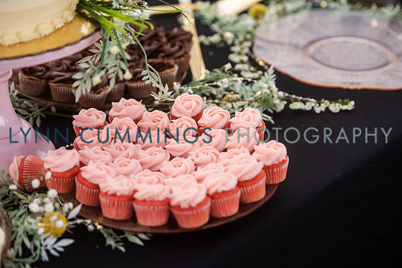 313-LynnCummingsphoto