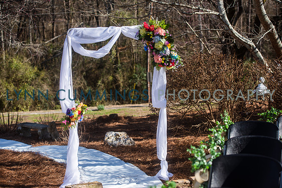 289-LynnCummingsphoto
