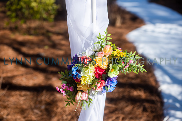 291-LynnCummingsphoto
