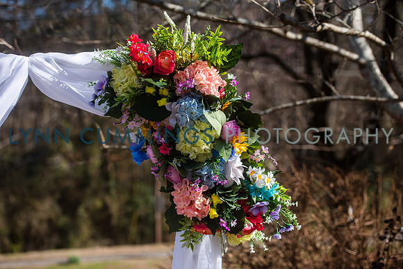 290-LynnCummingsphoto
