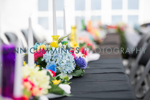 315-LynnCummingsphoto