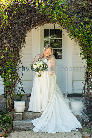 097-Lynn-Cummings-Photography