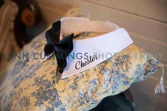 0015-Lynn-Cummings-Photography