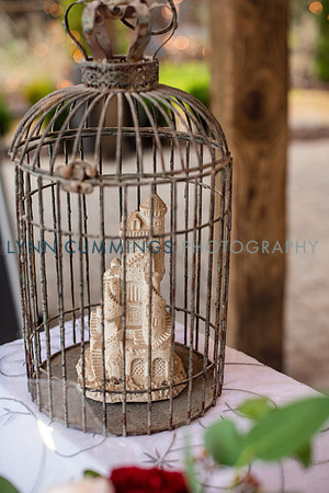 083-LynnCummingsphoto
